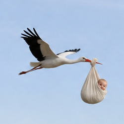 Públic